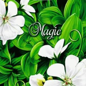 Полиэтиленовый пакет ПВД с прорубной ручкой 45 мкм 40х47 см Магия 50 шт