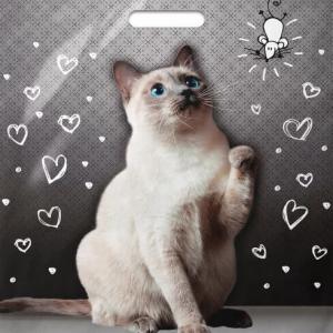 Полиэтиленовый пакет ПВД с прорубной ручкой 45 мкм 40х47 см Шалун 50 шт