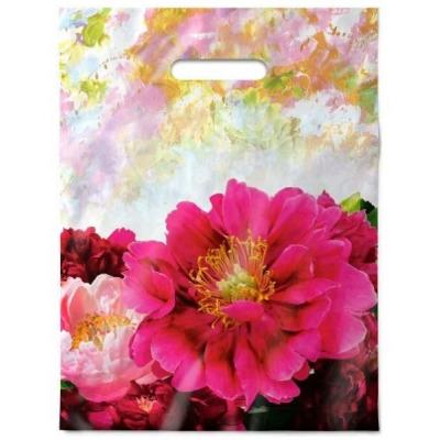 Полиэтиленовый пакет ПВД с прорубной ручкой 50 мкм 30х40 см Прима 25 шт