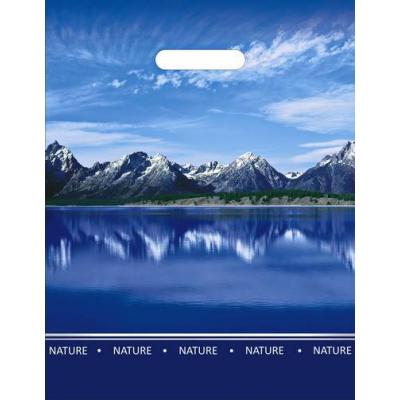 Полиэтиленовый пакет ПВД с прорубной ручкой 60 мкм 31*40 см Озеро 50 шт