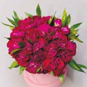 Полиэтиленовый пакет ПВД с прорубной ручкой 60 мкм 31х40 см Букет пионов 50 шт