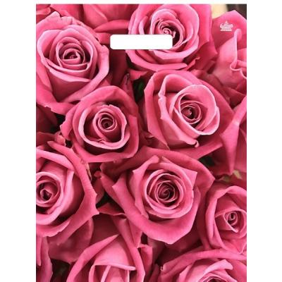 Полиэтиленовый пакет ПВД с прорубной ручкой 60 мкм 31х40 см Джейми 50 шт