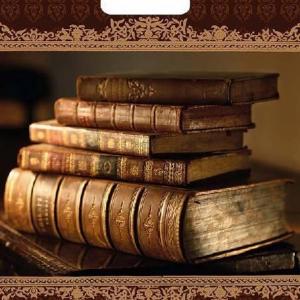 Полиэтиленовый пакет ПВД с прорубной ручкой 60 мкм 31х40 см Книги 50 шт