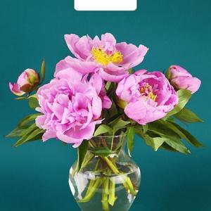 Полиэтиленовый пакет ПВД с прорубной ручкой 60 мкм 31х40 см Любимые пионы 50 шт