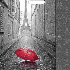 Полиэтиленовый пакет ПВД с прорубной ручкой 60 мкм 38х45 см Мой Париж 50 шт