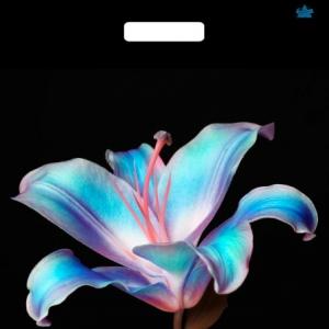 Полиэтиленовый пакет ПВД с вырубной ручкой 60 мкм 38х45 см Лила 50 шт