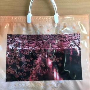 Полиэтиленовый пакет СЛПР с пластиковыми ручками 37х34х10 см Весна с кармашком 901964