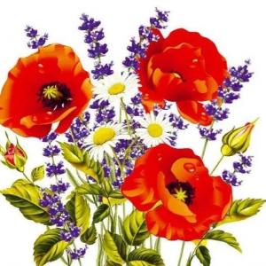 Салфетки бумажные 33*33 см 2 сл Маки с ромашками 20 шт