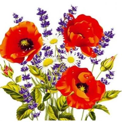 Салфетки бумажные 33*33 см 2 сл Маки с ромашками 20 шт