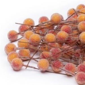 Ягодка на веточке 1 см (10 шт) Красно-оранжевый 172240