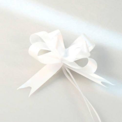 Бант-бабочка 5*89 см Перламутр 10 шт/уп 53363