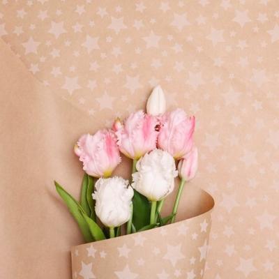 Бумага упаковочная крафт в рулоне 70 см*10 м Звезды белый 70 г/м2