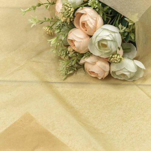 Бумага упаковочная тишью 50*66 см Темно-бежевый 10 листов 441318