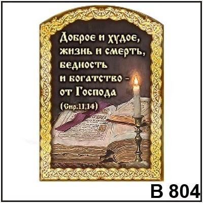 Магнит Доброе и худое В804