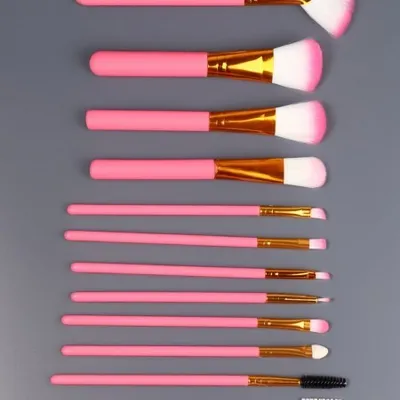 Набор кистей для макияжа COLOR POWER pink 12 шт футляр розовый 576235