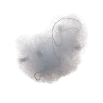 Набор сеточек-паутинок для пучка серый (В наборе 2 штуки) Цена за набор 40291