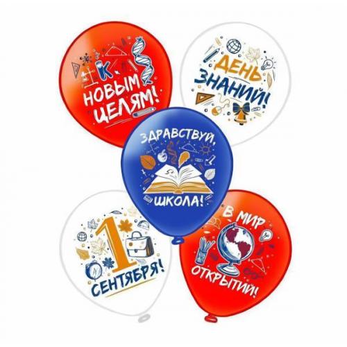 Набор шаров воздушных латексных с рисунком (25 шт) 1 Сентября! 1103-2941