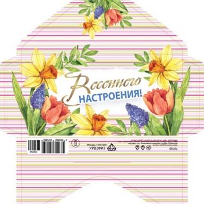 Открытка-конверт 16.8*8.3 см Весеннего настроения в пол 539150