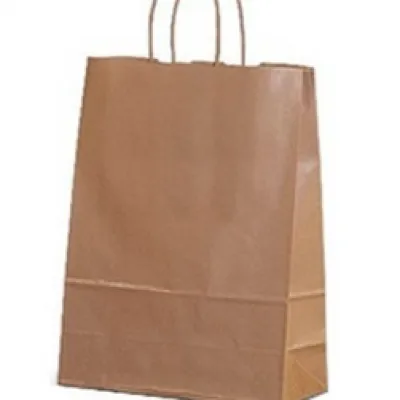 Пакет крафт с крученой ручкой 70 г/м2 26х15х35 см 10 шт 900432