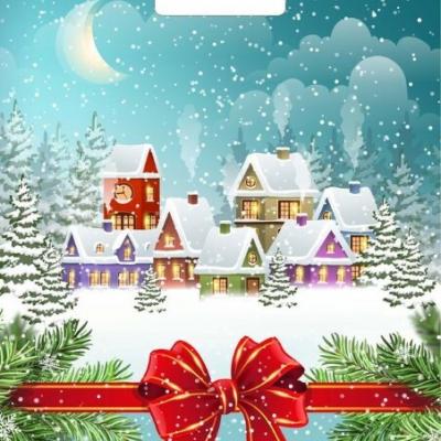 Пакет подарочный новогодний полиэтиленовый с прорубной ручкой 31х40 см 60 мкм Снежный город 50 шт