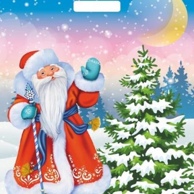 Пакет подарочный новогодний полиэтиленовый с прорубной ручкой 38х45 см 60 мкм Привет от мороза 50 шт