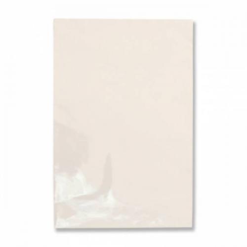 Пакет полипропиленовый прозрачный 20*30 см без рисунка 100 шт/уп