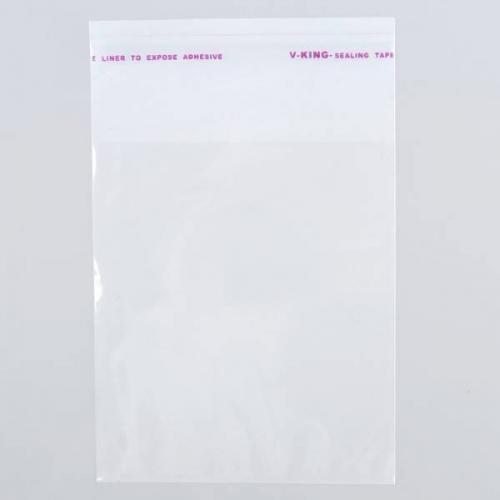 Пакет полипропиленовый с клеевым клапаном 15*20+5 см 25 мкм 100 шт/уп