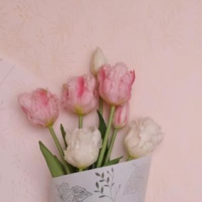 Пленка флористическая матовая в рулоне 60 см*10 м Блум белый 621839