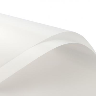 Пленка флористическая в листах 58*58 см Мечта жемчужно-белый 20 л/уп 50246