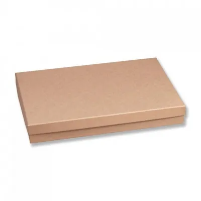 Подарочная коробка прямоугольник 20*30*4 см Крафт 530160
