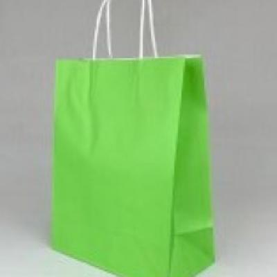 Подарочный крафт пакет с бумажной ручкой 15*21*8 см Зеленый 12 шт/уп