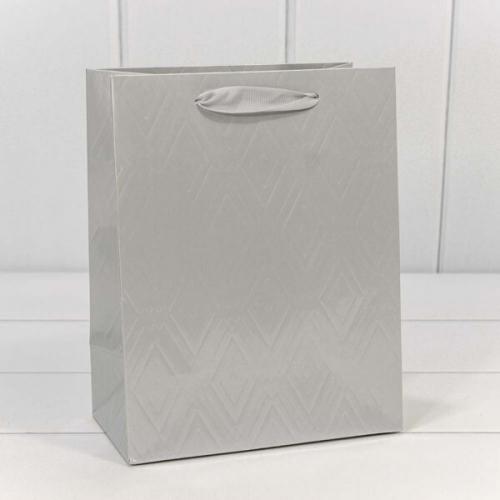 Подарочный пакет люкс бумажный 18х23х10 см Элегант серебро 442074
