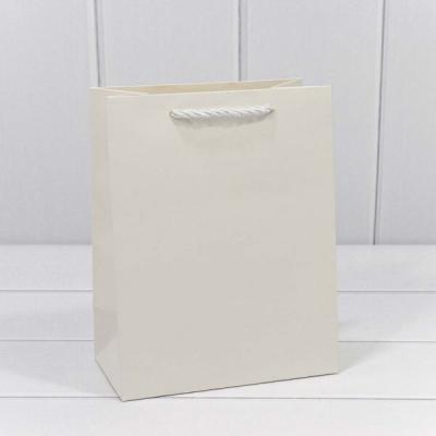 Подарочный пакет люкс бумажный 18х23х10 см Фактура белый 441224