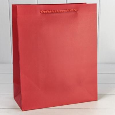 Подарочный пакет люкс бумажный 18х23х10 см Фактура красный 449191