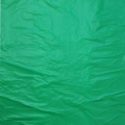 Полиэтиленовый пакет майка ПНД 19 мкм 45+22х90 см Однотонный зеленый 50 шт