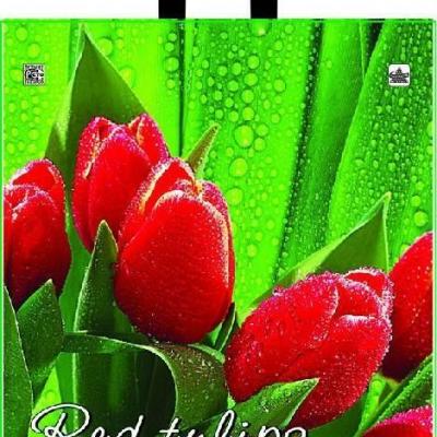 Полиэтиленовый пакет ПВД с петлевой ручкой 35 мкм 40*43.5 см Красный тюльпан 50 шт