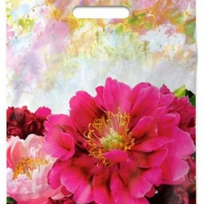 Полиэтиленовый пакет ПВД с прорубной ручкой 50 мкм 30х40 см Прима 25 шт