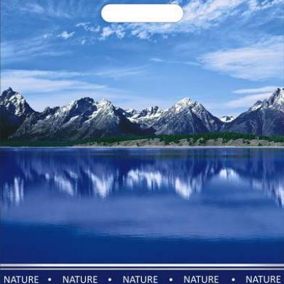 Полиэтиленовый пакет ПВД с прорубной ручкой 60 мкм 31*40 см Озеро 50 шт