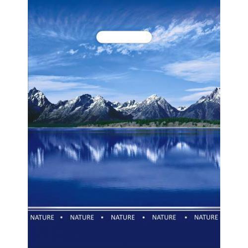 Полиэтиленовый пакет ПВД с прорубной ручкой 60 мкм 31*40 см Озеро 50 шт