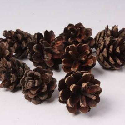 Шишка сосновая натуральная 10 шт 42445