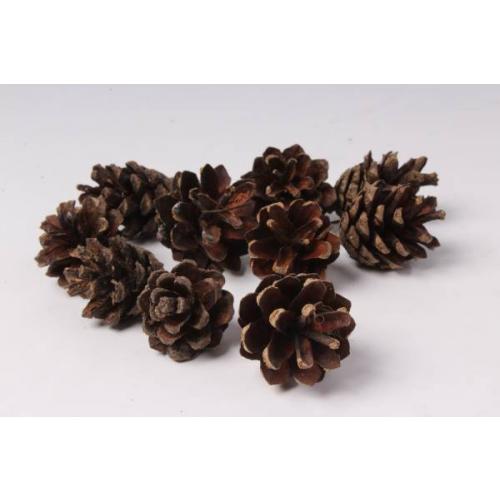 Шишка сосновая натуральная 10 шт 42445