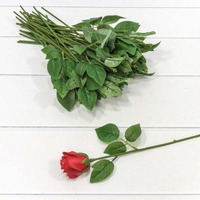 Стебель для розы с листьями 30 см 447526