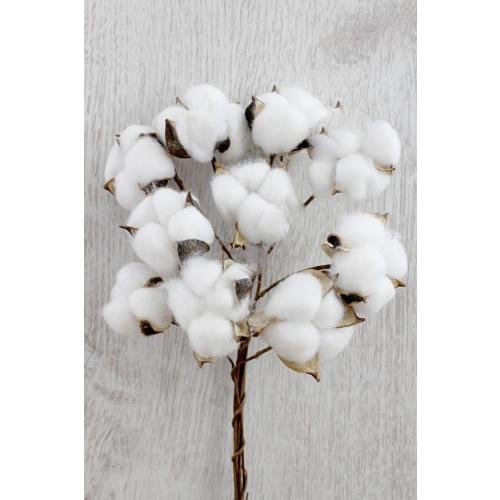 Веточки 30 см 10 шт Хлопок белый 17062