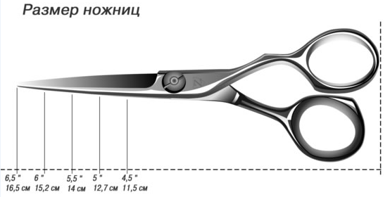 Размер парикмахерских ножниц. Как выбрать парикмахерские ножницы. - DeniraShop